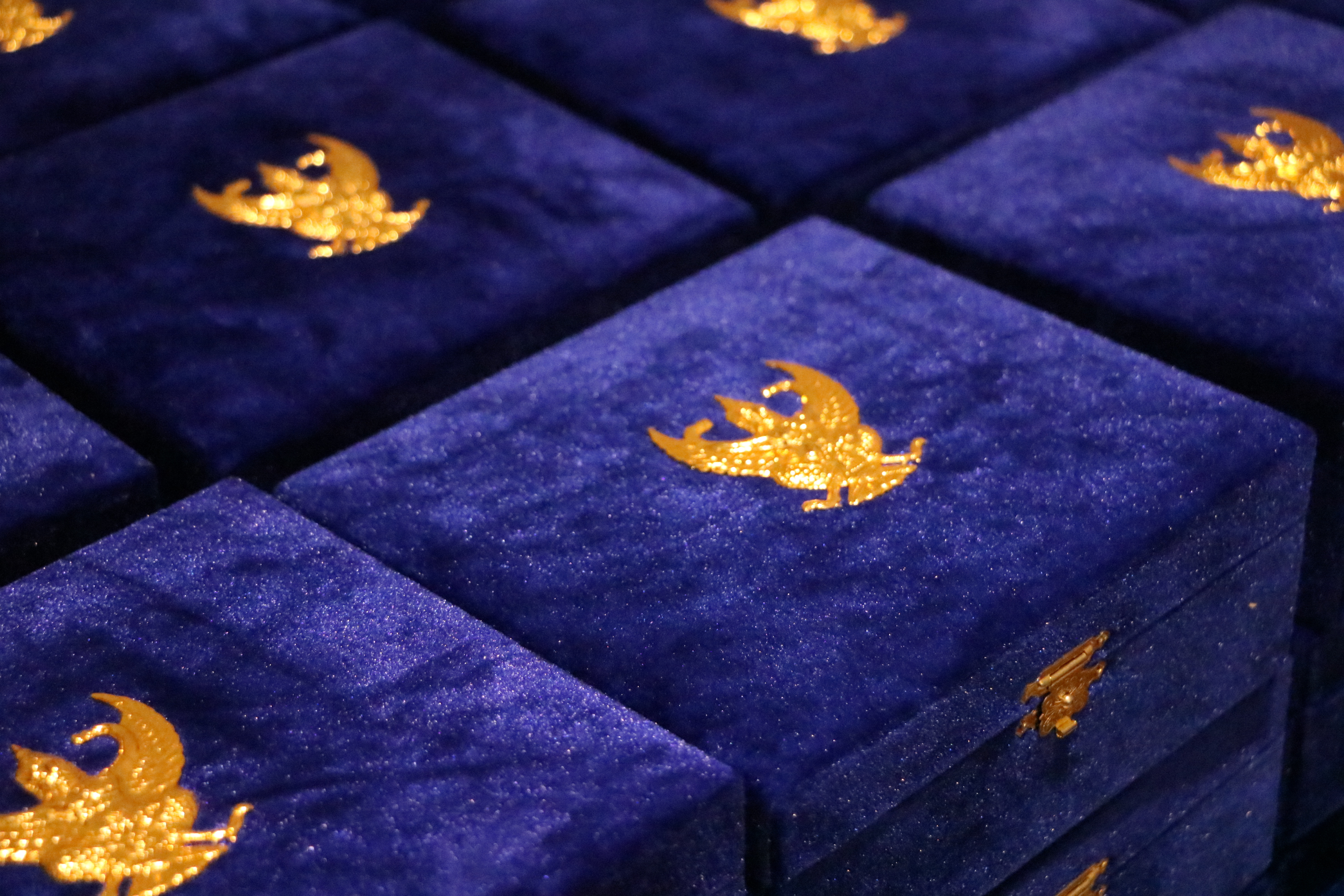 title - ส.ป.ก. เข้ารับพระราชทานเครื่องราชอิสริยาภรณ์ ชั้นสายสะพาย ประจำปี 2568